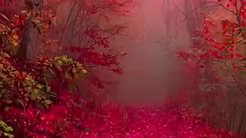 A Moment in Nature