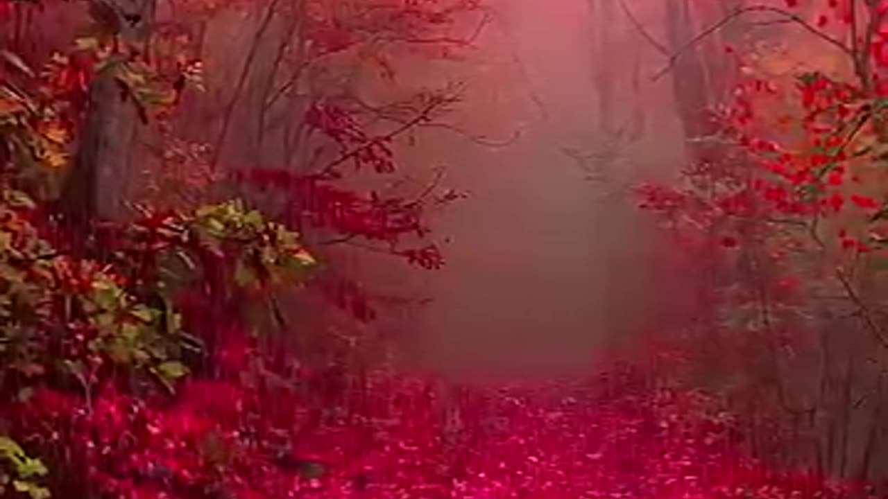 A Moment in Nature