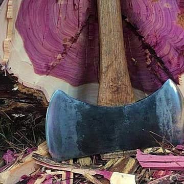 Top 10 Most Expensive Wood in the World Part 1