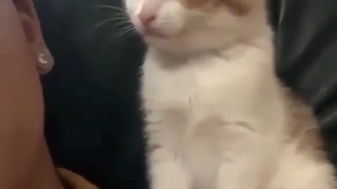 Cat want to hug me 😍