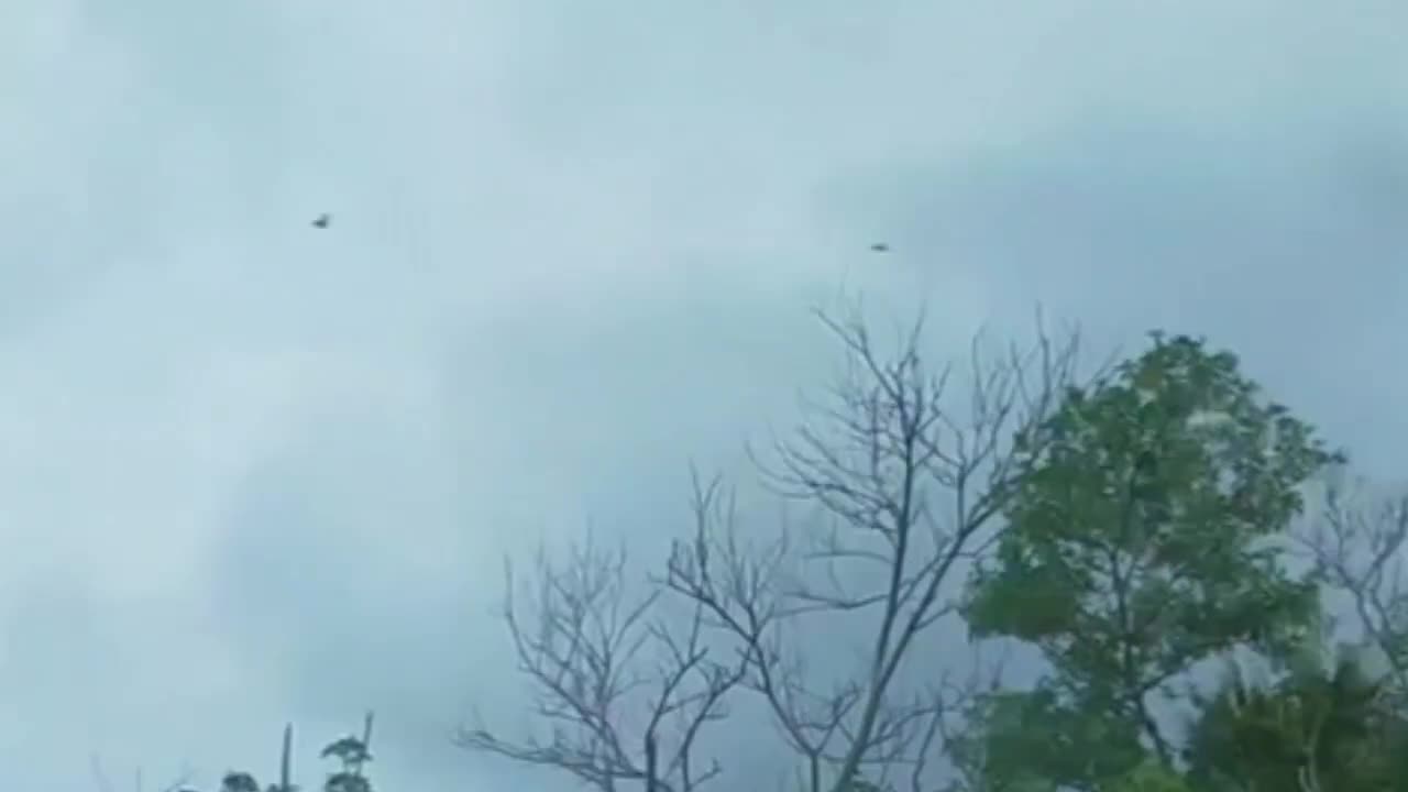 Rain, Rain Sounds, Relaxing Video, Rainforest, Heavy Rain Sounds, Relax, Beautiful Nature Sounds,