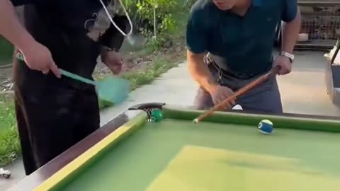 Top Funny Video Billiards