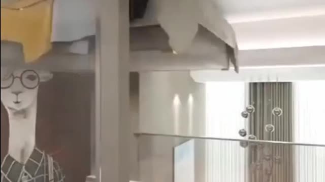 Your dream home