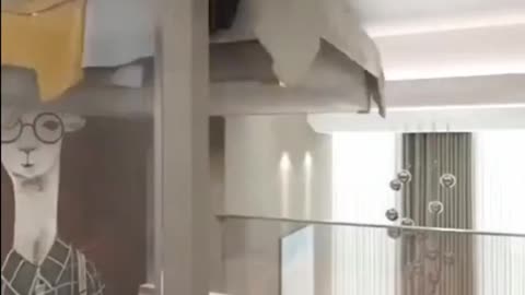 Your dream home
