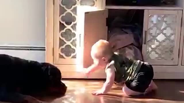 How Dogs Play With Kids - Dog Playing With Kids Part 2