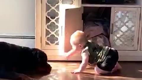 How Dogs Play With Kids - Dog Playing With Kids Part 2