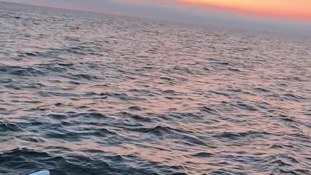 The sea is the best