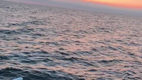 The sea is the best