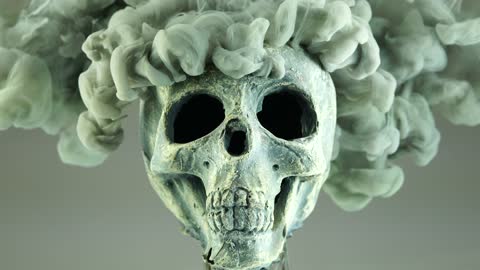 beautiful human skull