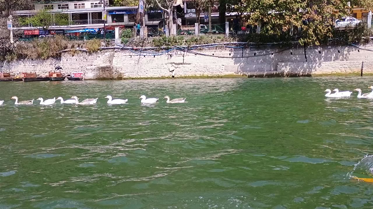 Paddle in the water , Nanital