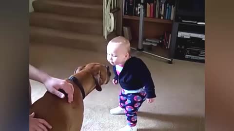 Funny Pets And Baby Moments