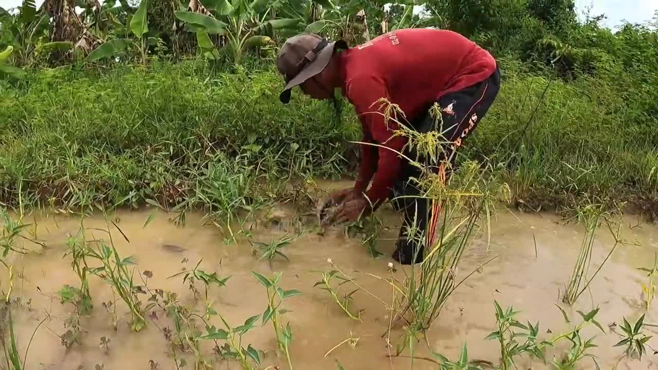 amazing fishing! a fisherman skill catch fish and crabs a lots by best hand in field-18