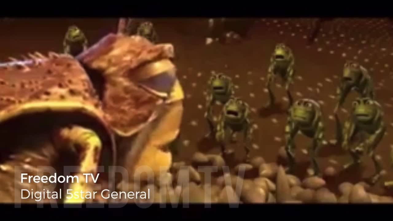 Once you wake up it’s hard to go back to sleep