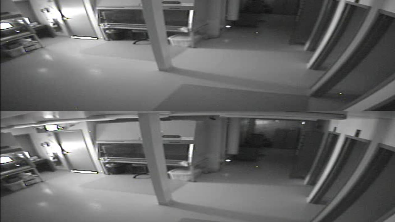 1702CRIB01CribAnalysisArea_2021-01-06_09h00min02s597ms.mp4