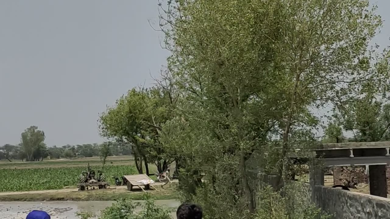 Village life in Pakistan enjoy swimming pool