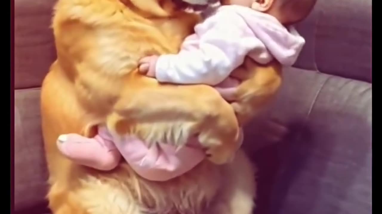 When_your_doggo_takes_care_of_the_baby_better_than_you.