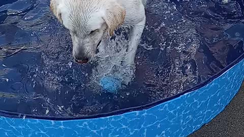 Linus's turn in the pool