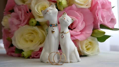 Look at the love of the cat couple.
