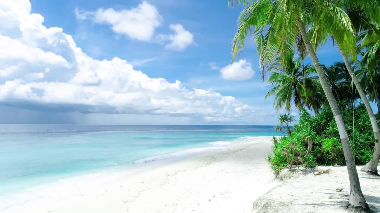 White sand beach and palm trees similar to the cook islands