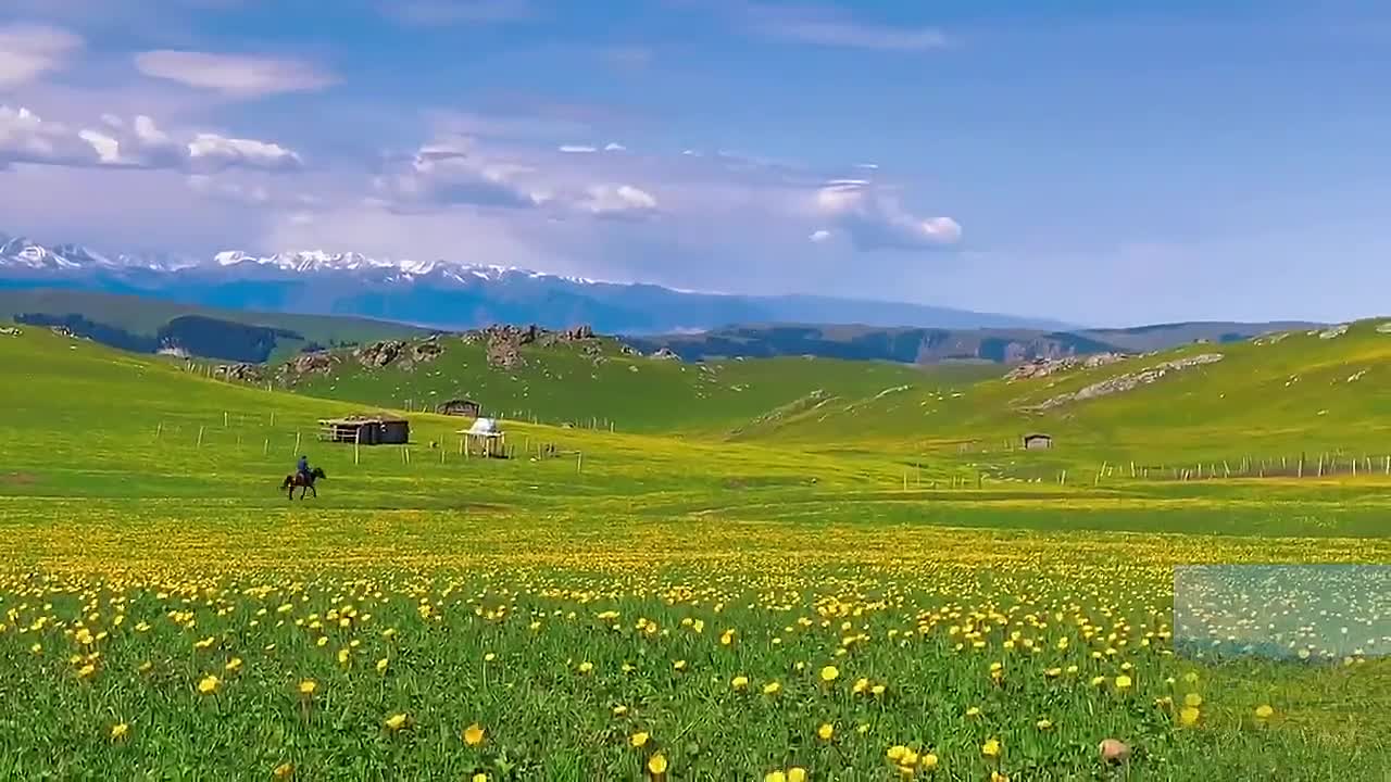 Beautiful prairie
