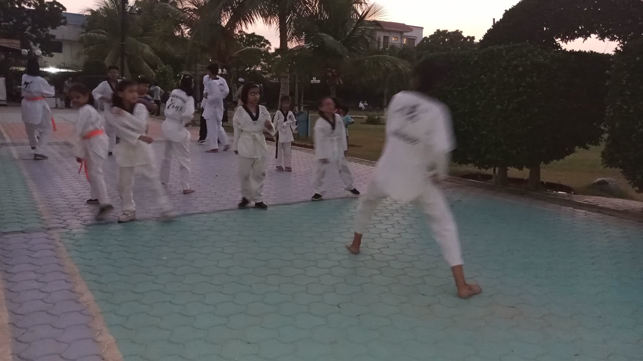 Kids Taekwando