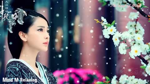 Beautiful Chinese Music For Relaxing | Music For Sleep