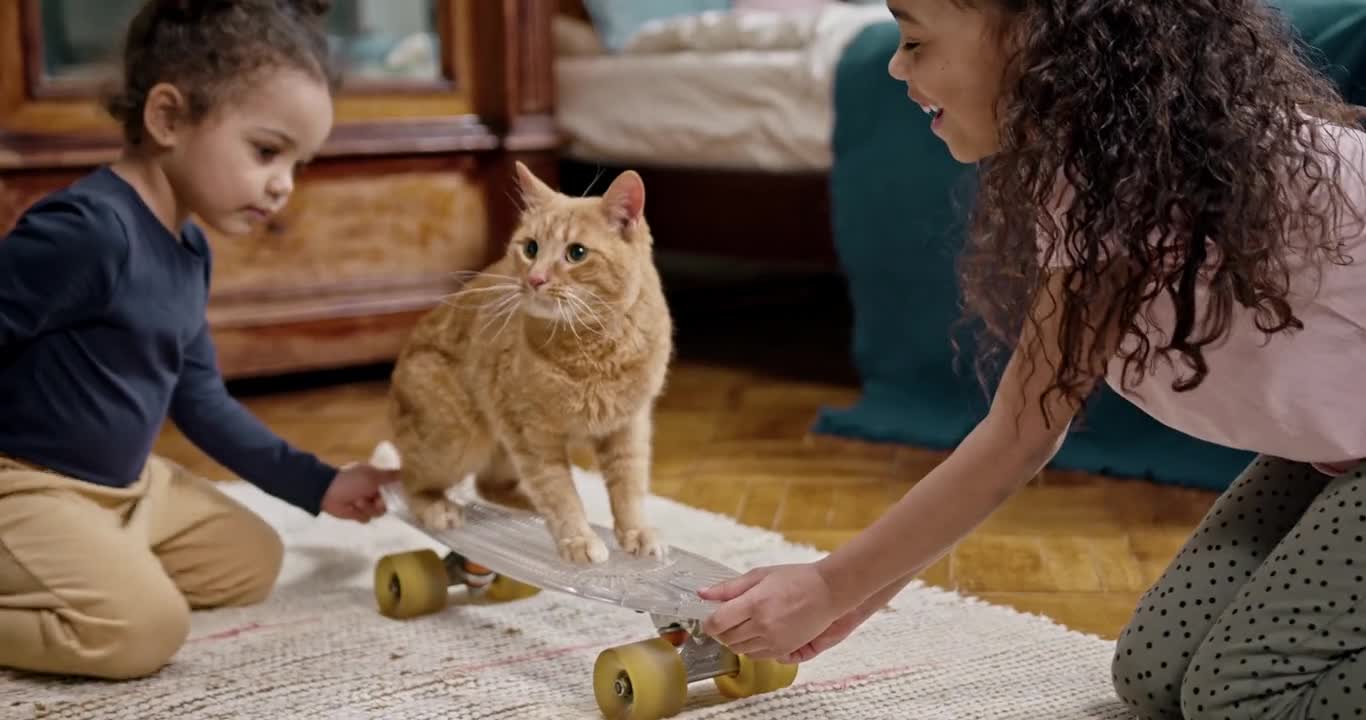 kids playing with their funny cat on a skateboard