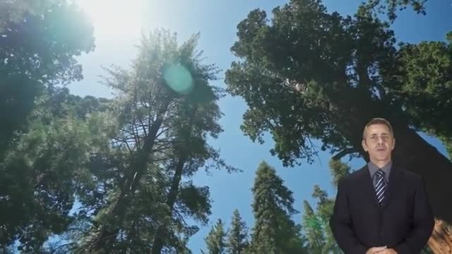 EMERGENCY ALERT UPDATE 03/02/2022.