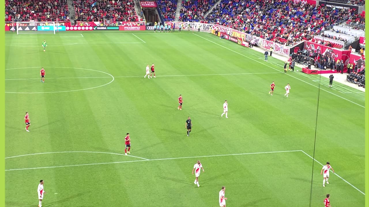 Let's Go Redbulls #15