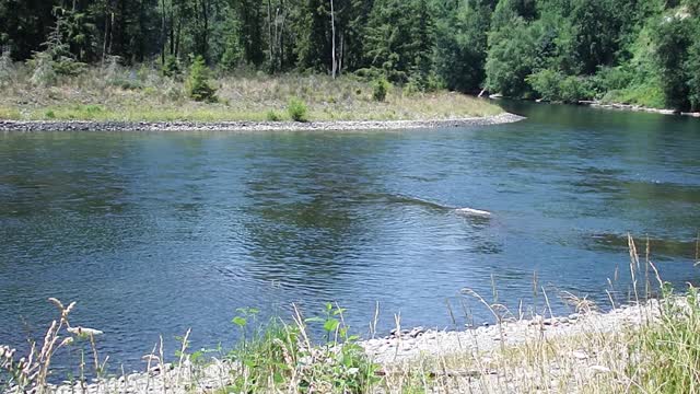 BIGFOOT BARRIER DAM LAUNCH REPORT