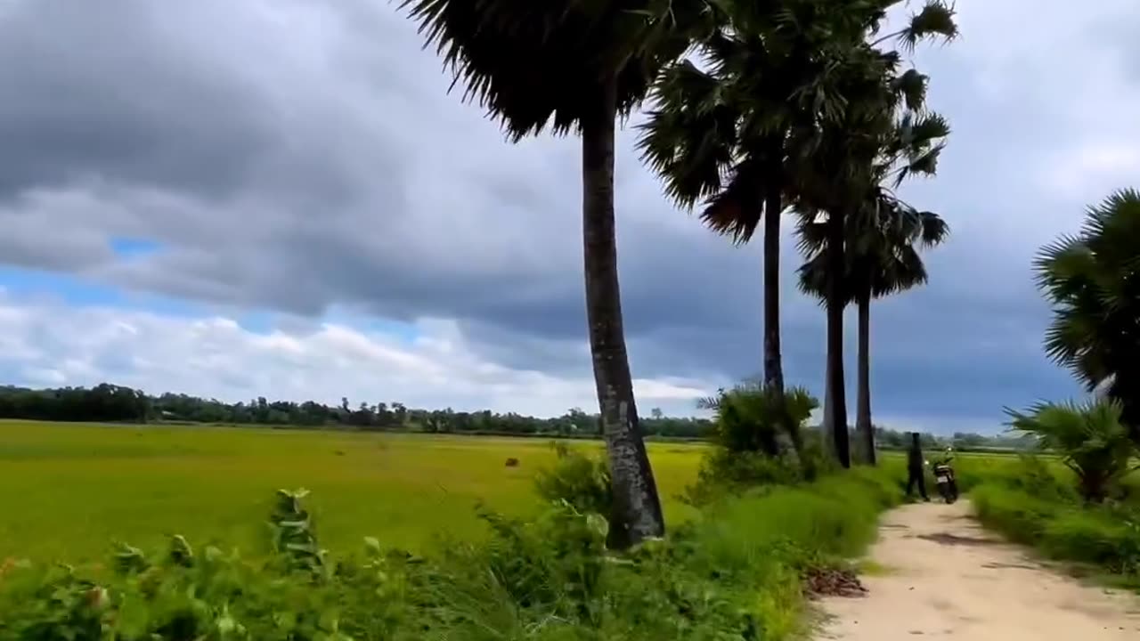 Bangladesh Is Green Beautiful