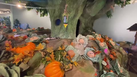 Mind Unveiled - The Strangest Hospital in the World: Cabbage Babies / Adoption?! Birth Certificates