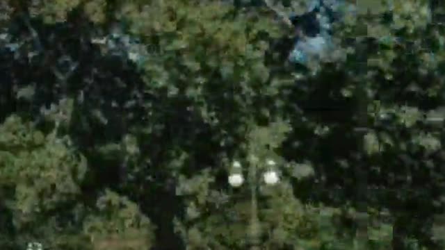 Something going on today in DC - Part II