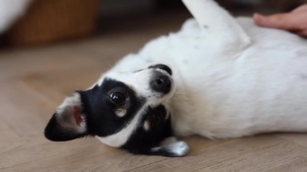 I like it when I rub my belly.