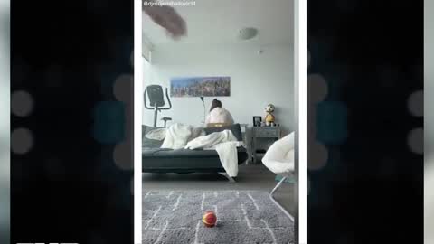 You Will Laugh...Bets All In