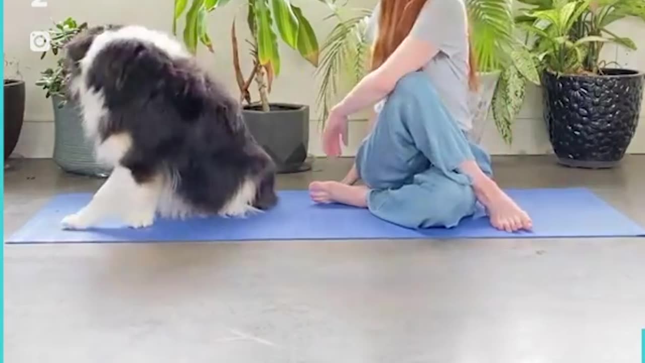 Yoga at its best 🤍