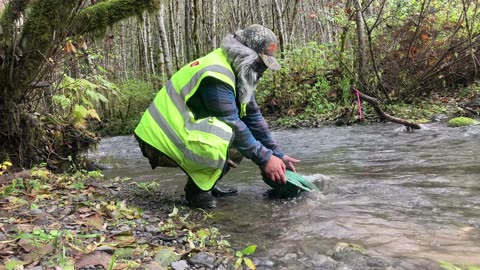 Gold Prospecting In The Pacific Northwest