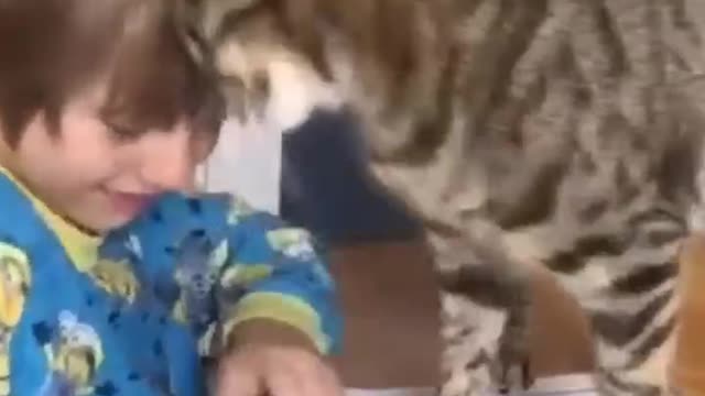 Wow -- cat want don't Read play with me 🤣🤣😜