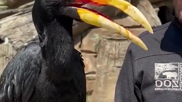# Wonderanimals # WonderAnimals i# Animal