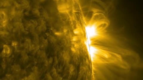 SDO Sees Flourishing Magnetic Loops