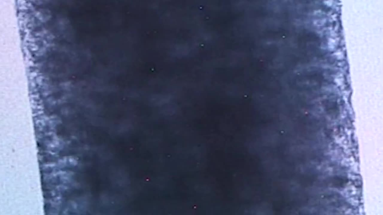 Heart Tissues Beat on the International Space Station