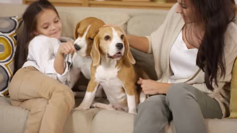 Cute little 8 years old girl and her cheerful mother sitting together on sofa
