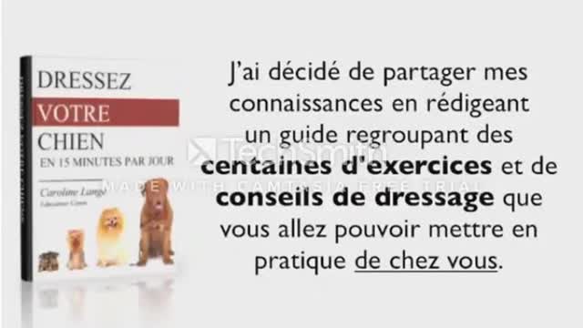 Comment dresser son chien en 15 minutes par jour