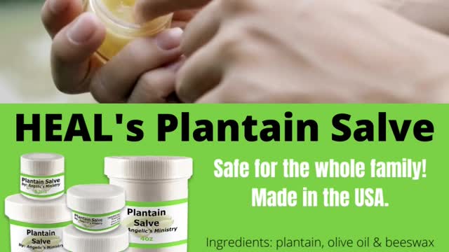 All-Natural Plantain Salve