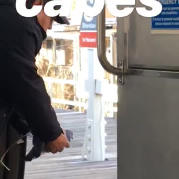 Man lets pigeon out of subway car
