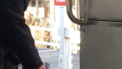 Man lets pigeon out of subway car