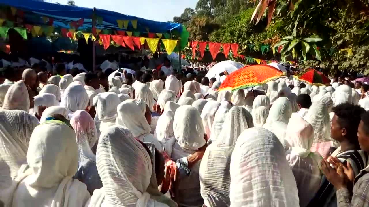 ኢይኃድጋ አይተዋትም ኢትዮጵያንህዳር ሚካኤል 2014