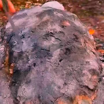 Natural cooking in natural life, best recipes, food, eat, eating, cooking skills, how to cook #15