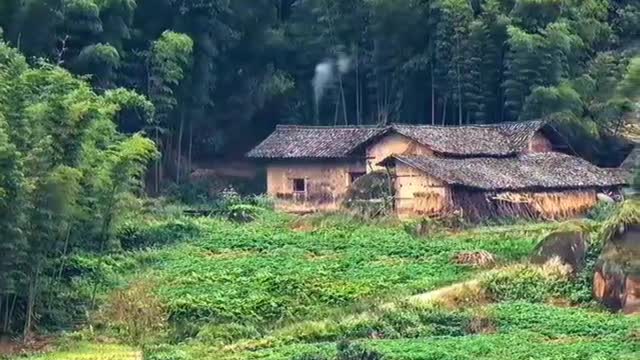 Living with beautiful Nature.