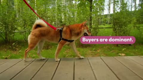 1000% Surge in Shiba Inu Burn Rate Sets SHIB Price on Bullish Path